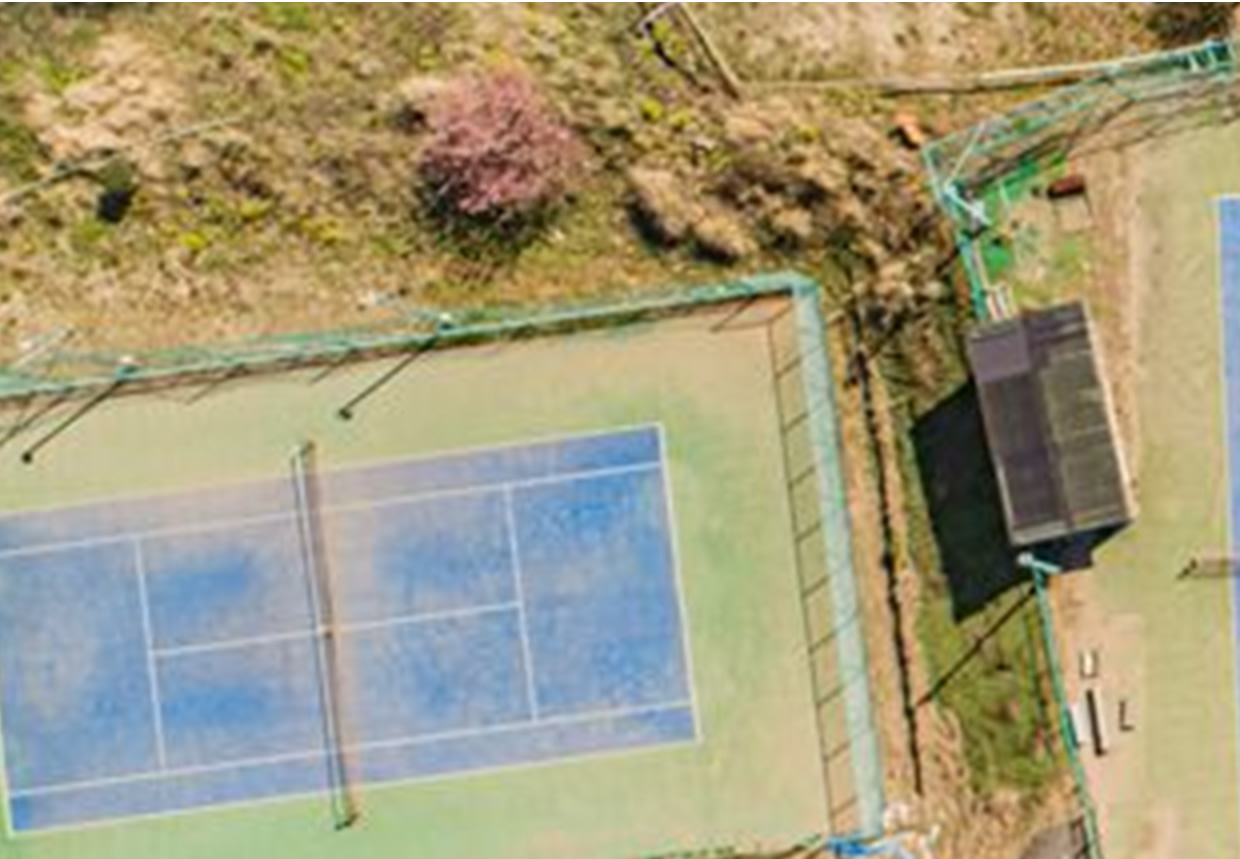 自然の中でテニス