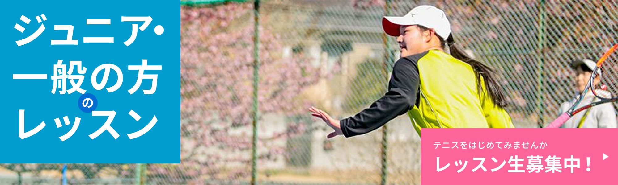 さくらテニスクラブ レッスン生募集中