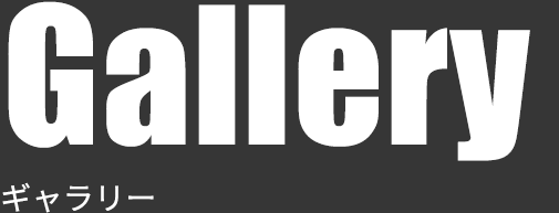 ギャラリー