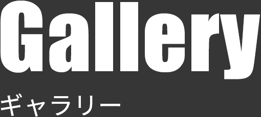 ギャラリー